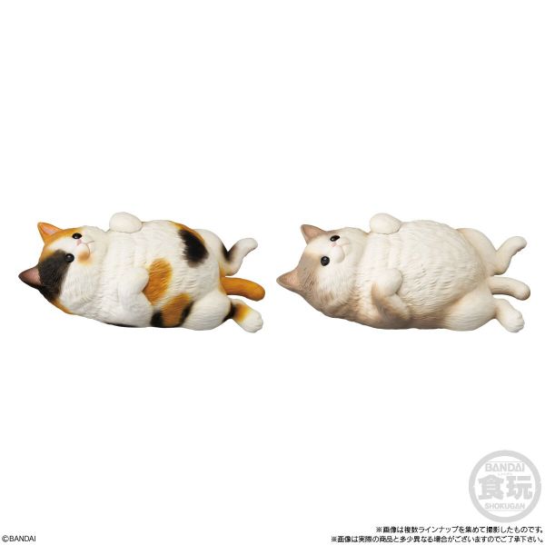 Mocchiri Kororin Cat