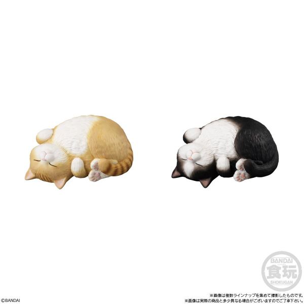 Mocchiri Kororin Cat