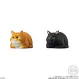 Mocchiri Kororin Cat