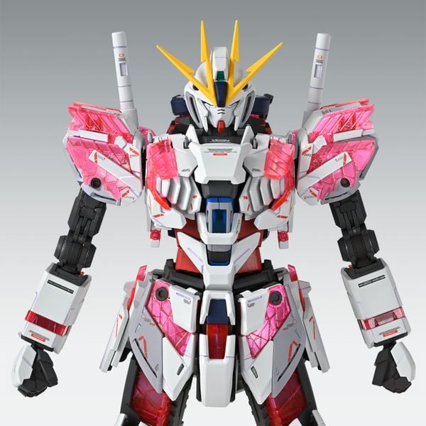 MG 1/100 NARRATIVE GUNDAM C PACKS Ver Ka