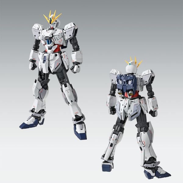 MG 1/100 NARRATIVE GUNDAM C PACKS Ver Ka