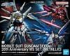 RG HG 1/144 MOBILE SUIT GUNDAM SEED 20th Anniversary MS SET - METALLIC