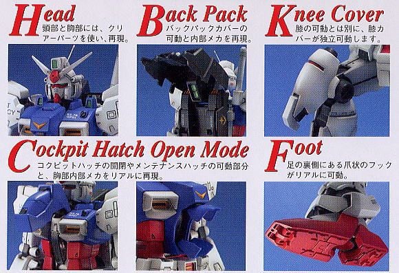 MG 1/100 GUNDAM GP01 Zephyranthes