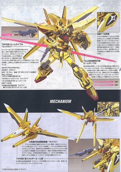 HG SEED 1/144 OOWASHI AKATSUKI GUNDAM