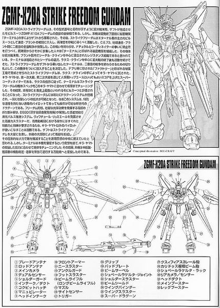 MG 1/100 Strike Freedom Gundam - Ver Zhuque