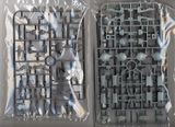 [Pre-order / Đặt trước] MG 1/100 DESTINY GUNDAM SPECIAL EDITION