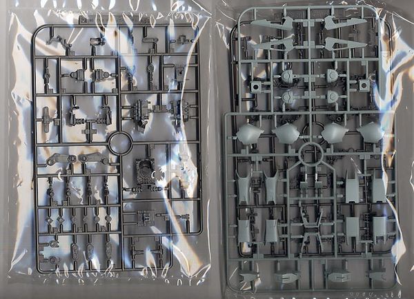 [Pre-order / Đặt trước] MG 1/100 DESTINY GUNDAM SPECIAL EDITION