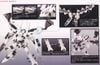 Kotobukiya - Armored Core VI Variable Infinity - 1/72 White Glint