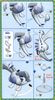 Pokemon Plastic Model COLLECTION SERIES LUGIA