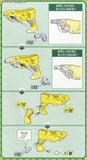 Pokemon Plastic Model Collection Raikou