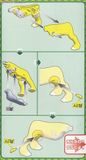 Pokemon Plastic Model Collection Raikou