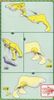 Pokemon Plastic Model Collection Raikou