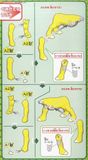 Pokemon Plastic Model Collection Raikou