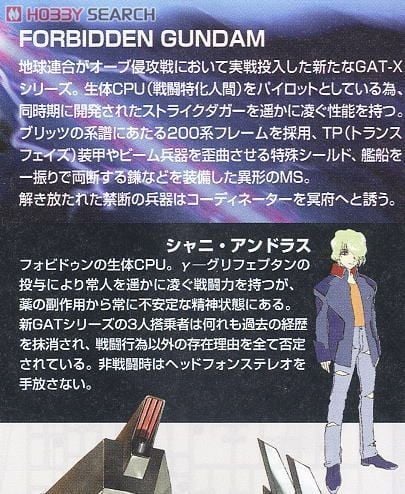HG Seed 1/144 Forbidden Gundam