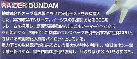 HG Seed 1/144 Raider Gundam