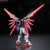 RG 1/144 Destiny Gundam