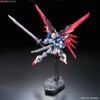 RG 1/144 Destiny Gundam