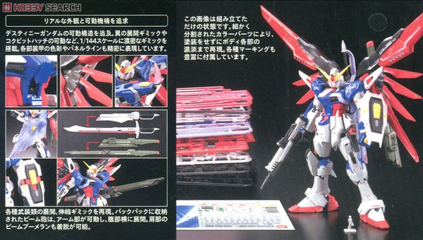 RG 1/144 Destiny Gundam