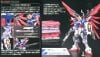 RG 1/144 Destiny Gundam