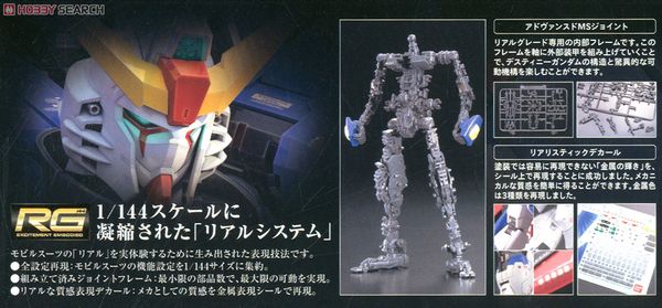 RG 1/144 Destiny Gundam