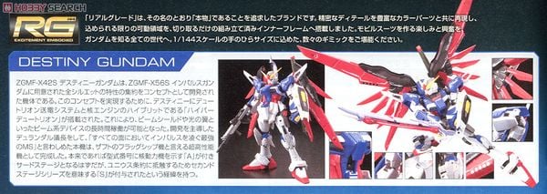 RG 1/144 Destiny Gundam