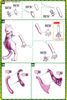 Pokemon Plastic Model COLLECTION SERIES MEWTWO