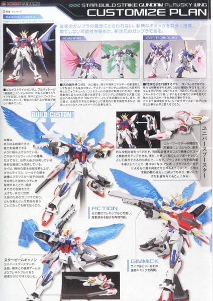 HG BF 1/144 STAR BUILD STRIKE GUNDAM PLAVSKY WING