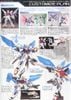 HG BF 1/144 STAR BUILD STRIKE GUNDAM PLAVSKY WING