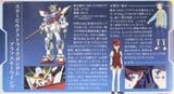 HG BF 1/144 STAR BUILD STRIKE GUNDAM PLAVSKY WING