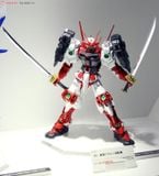 MG 1/100 Sengoku Astray Gundam