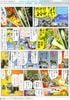 SD BB 396 BUILD BURNING GUNDAM
