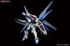 HG CE 1/144 FREEDOM GUNDAM