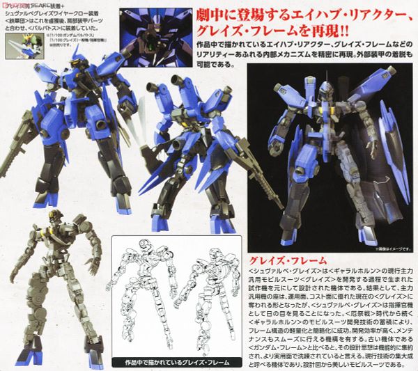 FM 1/100 MCGILLIS'S SCHWALBE GRAZE