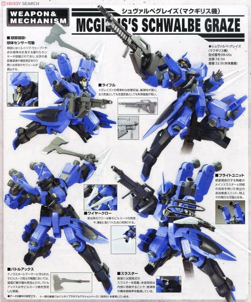 FM 1/100 MCGILLIS'S SCHWALBE GRAZE