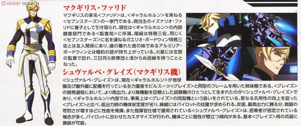 FM 1/100 MCGILLIS'S SCHWALBE GRAZE