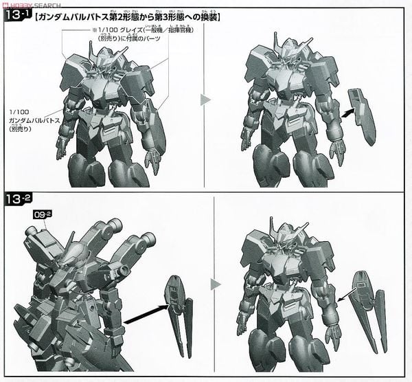 FM 1/100 MCGILLIS'S SCHWALBE GRAZE