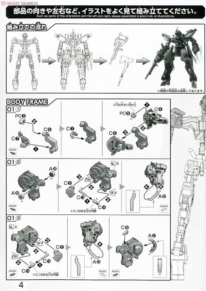 FM 1/100 MCGILLIS'S SCHWALBE GRAZE