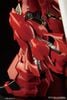 RG 1/144 Sinanju