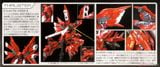 RG 1/144 Sinanju