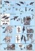 HGBF 1/144 CHERUDIM GUNDAM SAGA TYPE GBF