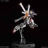 RG 1/144 CROSSBONE GUNDAM X1