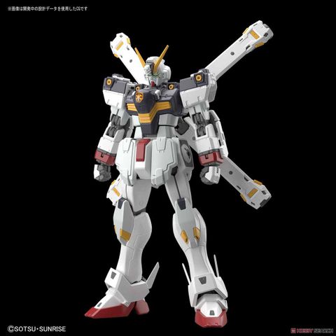 RG 1/144 CROSSBONE GUNDAM X1