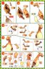 Pokemon PLAMO COLLECTION SERIES CHARIZARD BATTLE & DRAGONITE VS SET