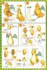 Pokemon PLAMO COLLECTION SERIES CHARIZARD BATTLE & DRAGONITE VS SET
