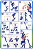 Pokemon Plastic Model COLLECTION 47 SELECT SERIES Greninja