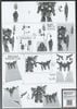 HG CE 1/144 BLACK KNIGHT SQUAD Shi-ve.A / Shiva