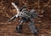 Kotobukiya - Armored Core VI Variable Infinity - 1/72 UCR-10/L AGNI
