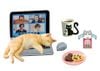 Re-ment - Petit Sample - Life with Cats