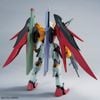 MG 1/100 Destiny Gundam - Heine Westenfluss Custom