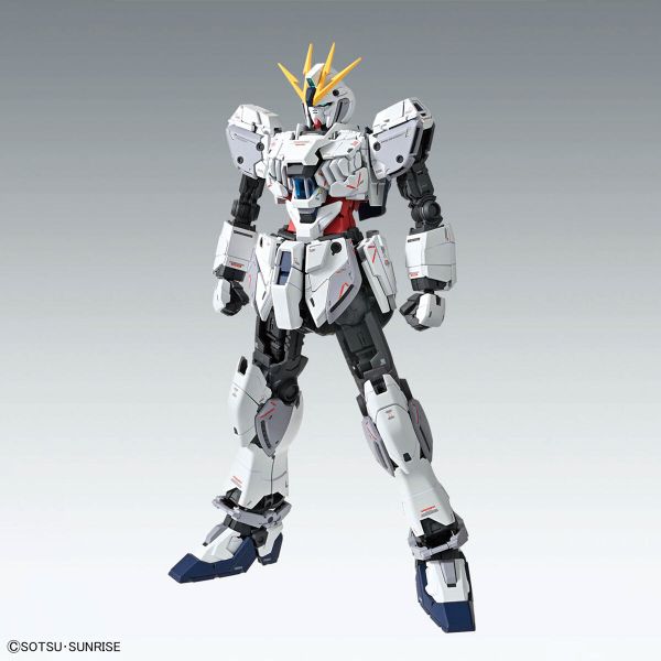 MG 1/100 NARRATIVE GUNDAM C PACKS Ver Ka